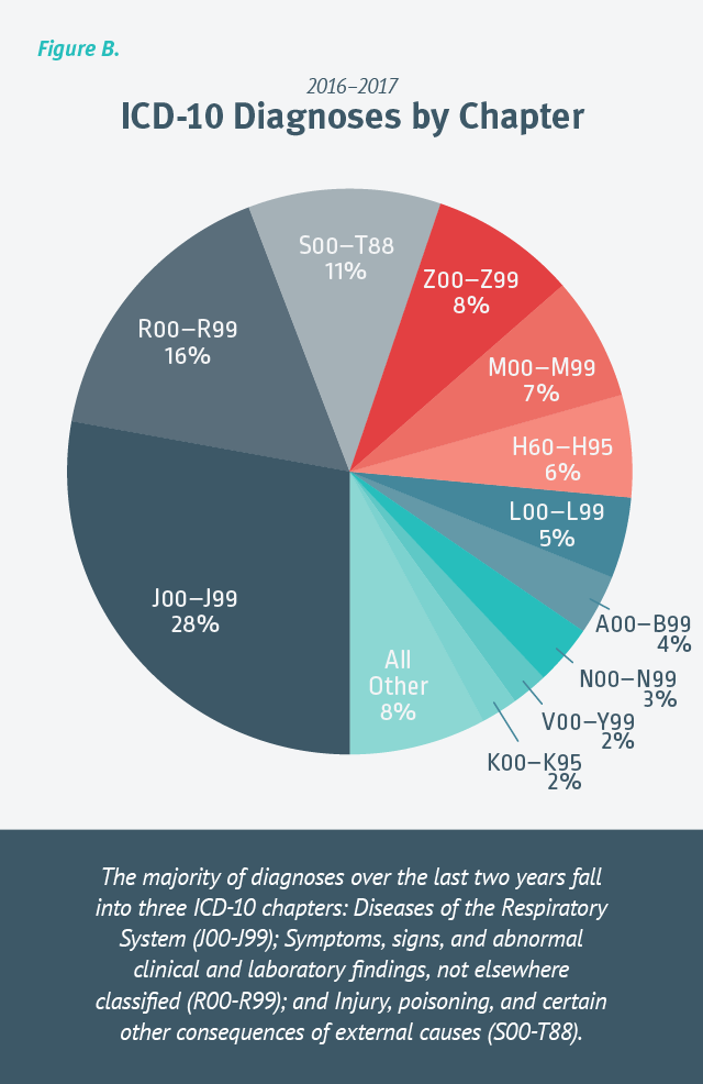 ICD-10 Diagnoses by Chapter