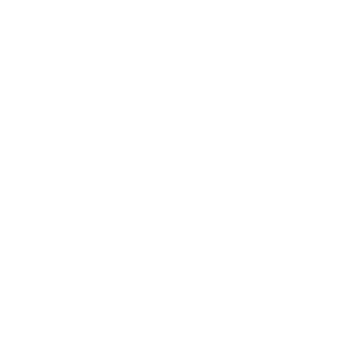 Outline of a chess knight piece on a plain light gray background.