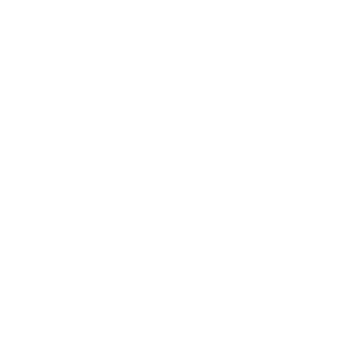 A simple gray crosshair icon on a light gray background, featuring concentric circles and four short lines extending outward.